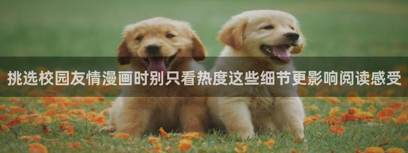 樱花日语最新资讯:挑选校园友情漫画时别只看热度这些细节更影响阅读感受