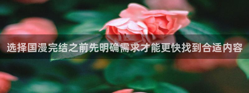 樱花日语网页入口：选择国漫完结之前先明确需求才能更快找到合适内容