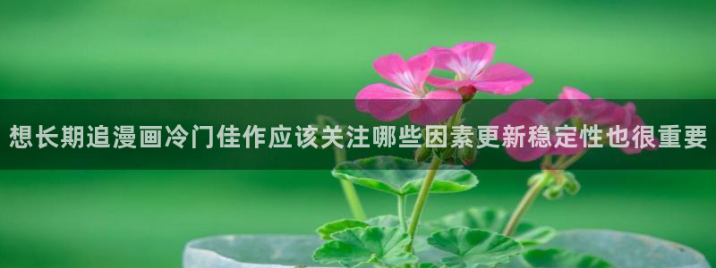 樱花日语商务日语:想长期追漫画冷门佳作应该关注哪些因素更新稳定性也很重要