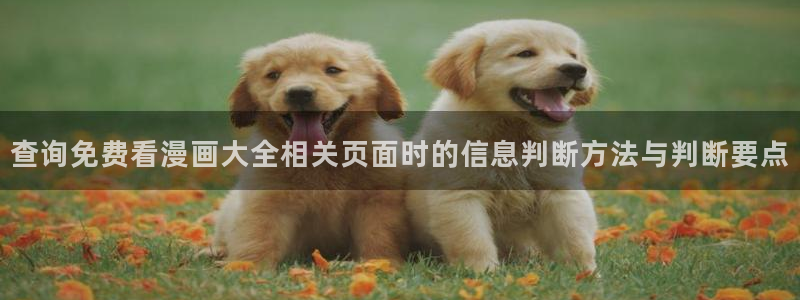 樱花日语考试资料:查询免费看漫画大全相关页面时的信息判断方法与判断要点